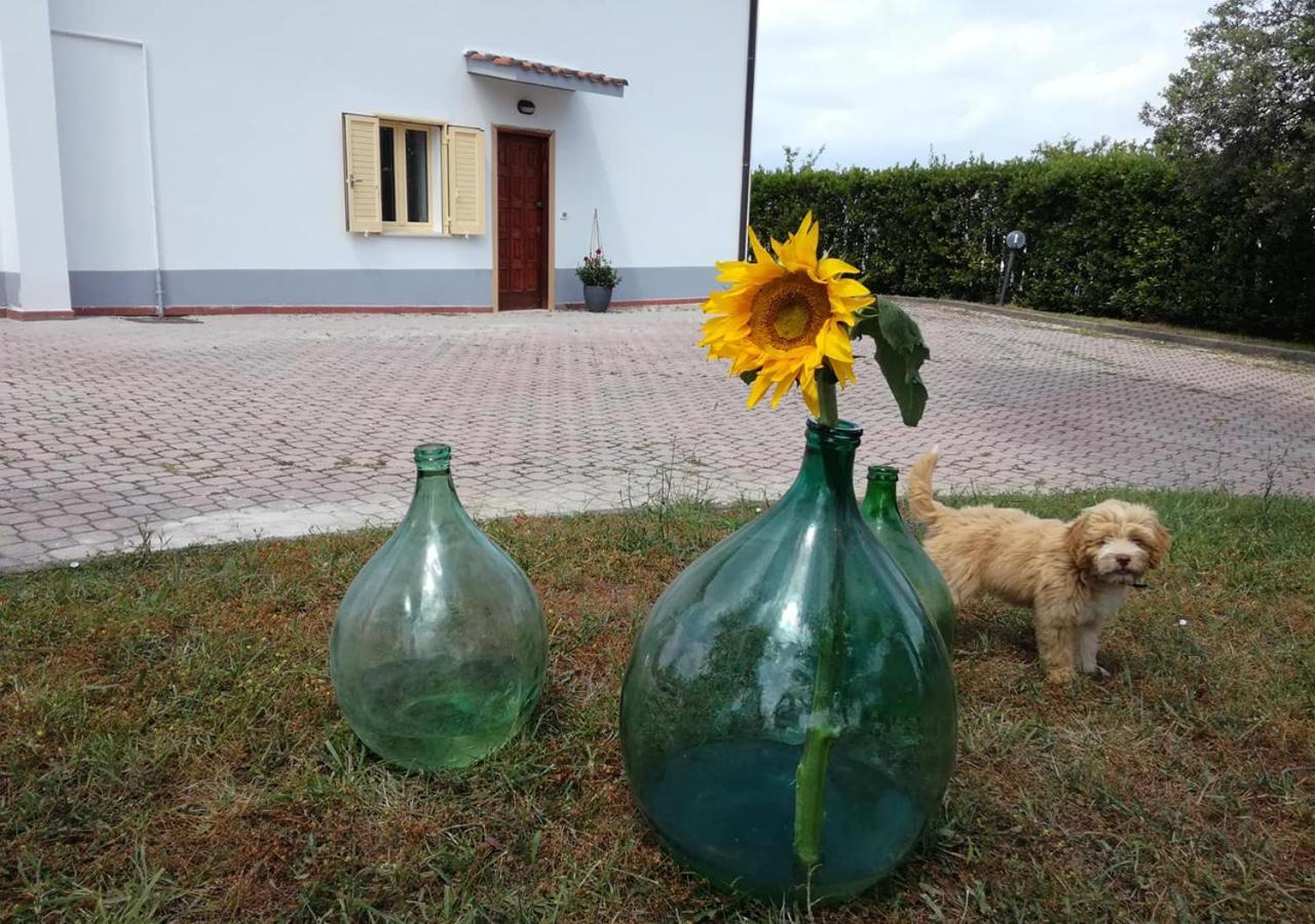 Casa Amrita, Yoga B&B Teramo Eksteriør bilde