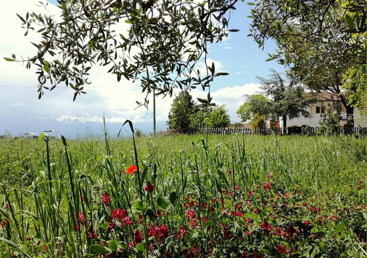 Casa Amrita, Yoga B&B Teramo Eksteriør bilde
