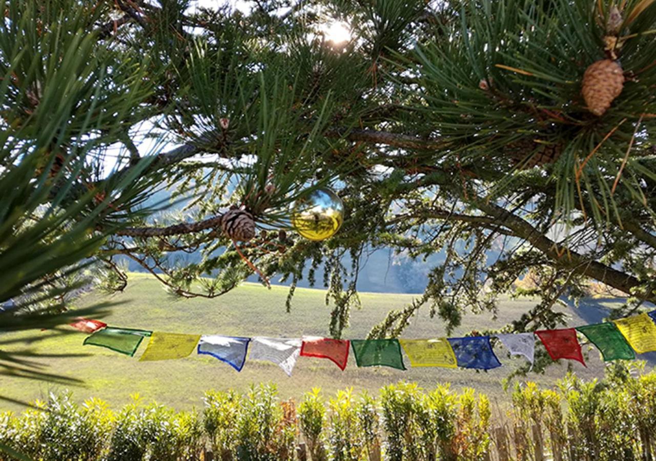 Casa Amrita, Yoga B&B Teramo Eksteriør bilde